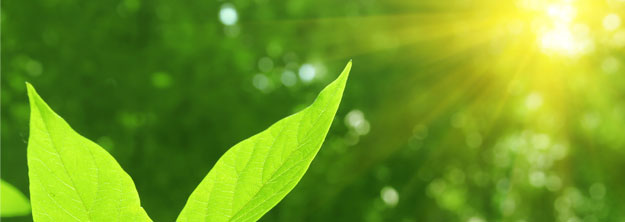 home-main-img-01